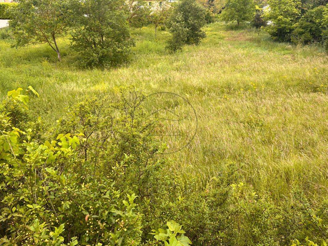 Terrain à SAINT-JEAN-DE-MARUEJOLS-ET-AVEJAN