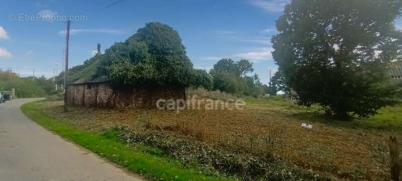 Terrain à COESMES