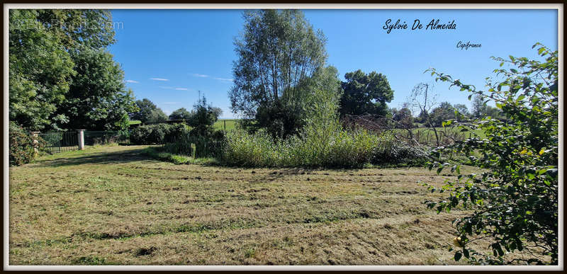 Terrain à BAGE-LA-VILLE