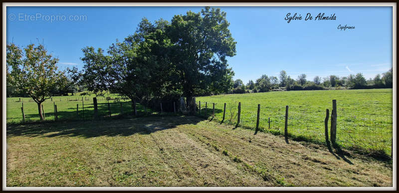 Terrain à BAGE-LA-VILLE