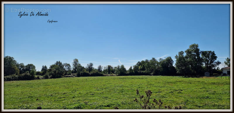 Terrain à BAGE-LA-VILLE