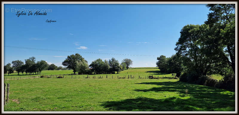 Terrain à BAGE-LA-VILLE