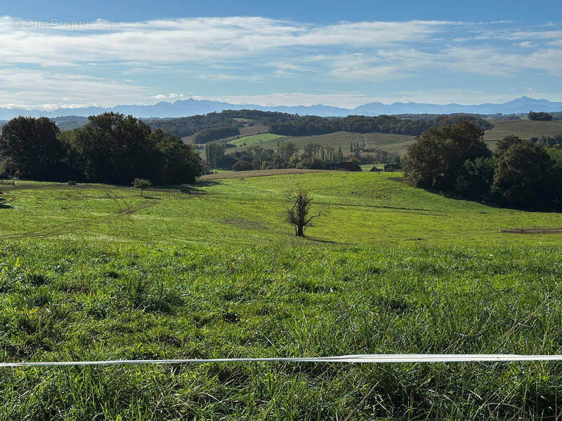 Terrain à ORTHEZ