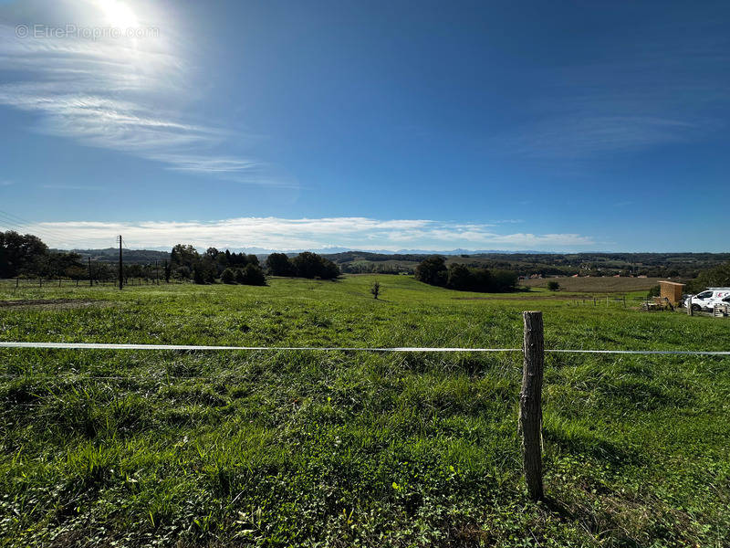 Terrain à ORTHEZ