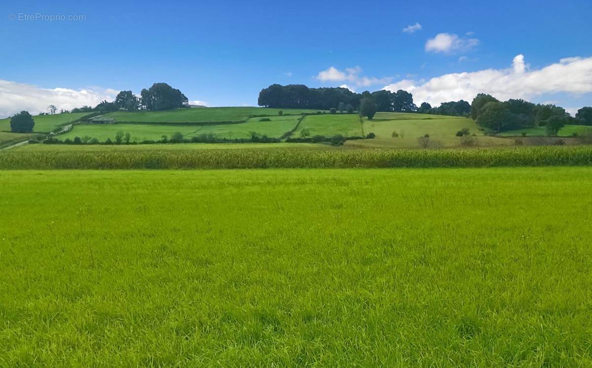 Terrain à BIDACHE