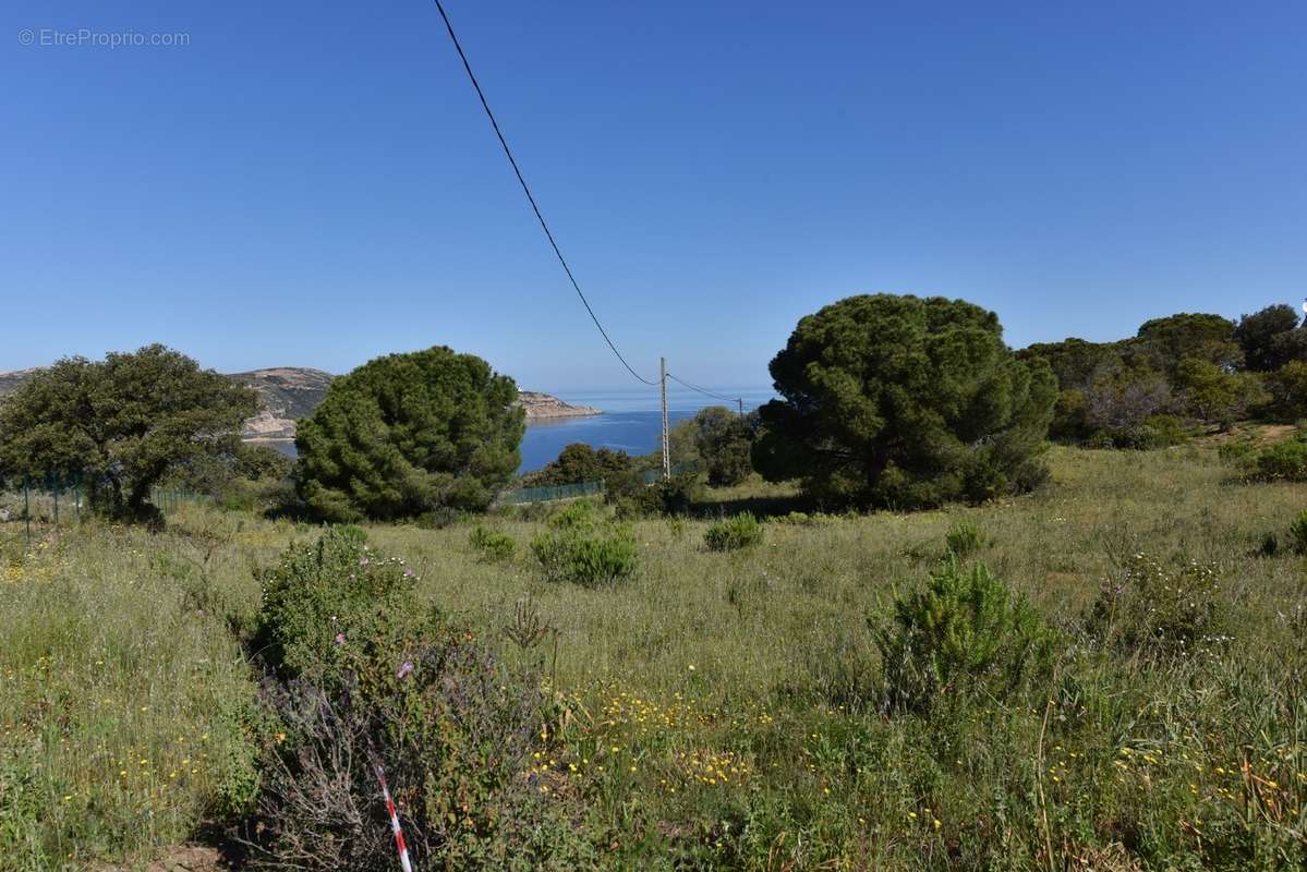 Terrain à CALVI