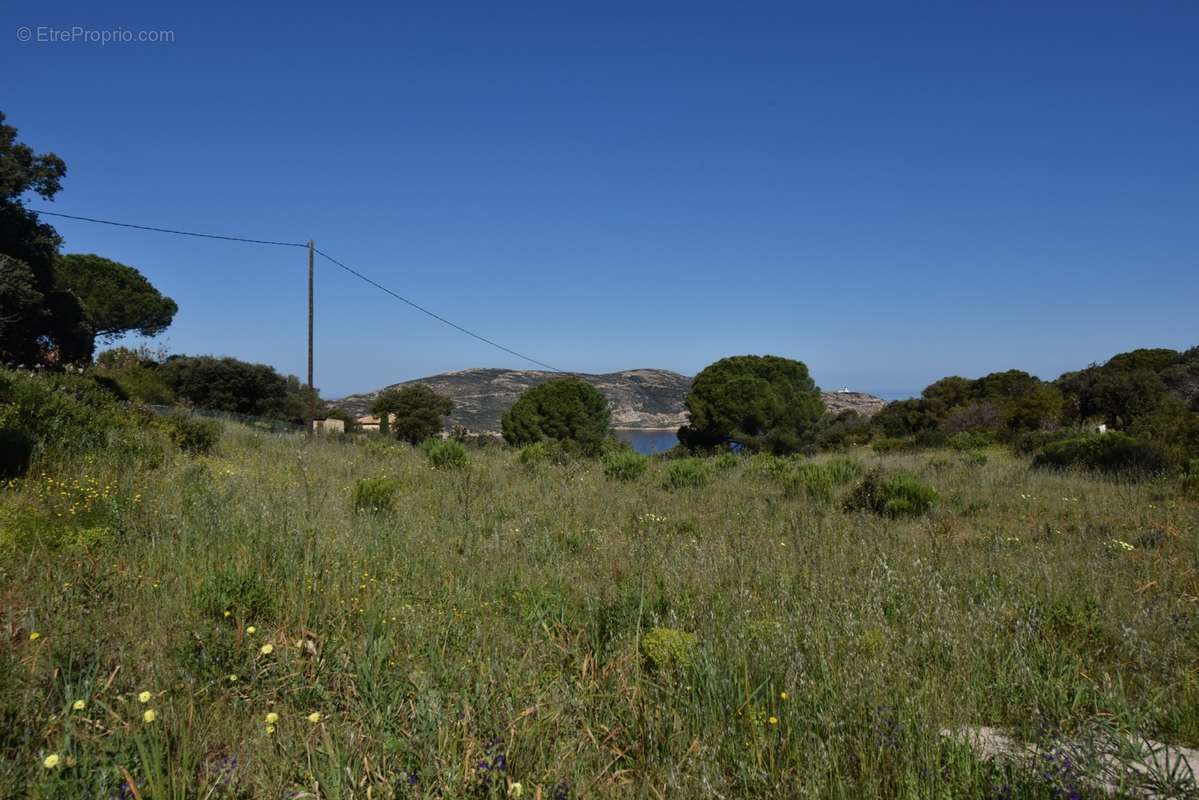 Terrain à CALVI