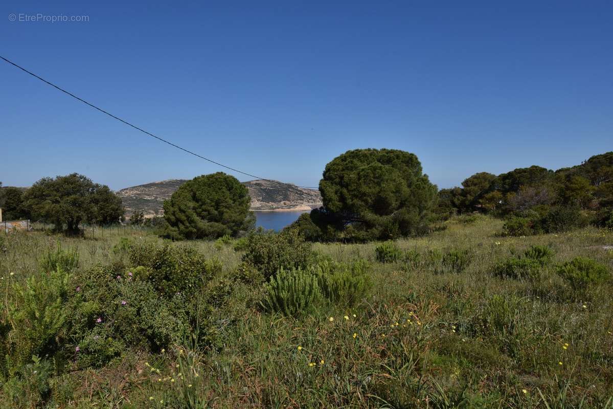 Terrain à CALVI