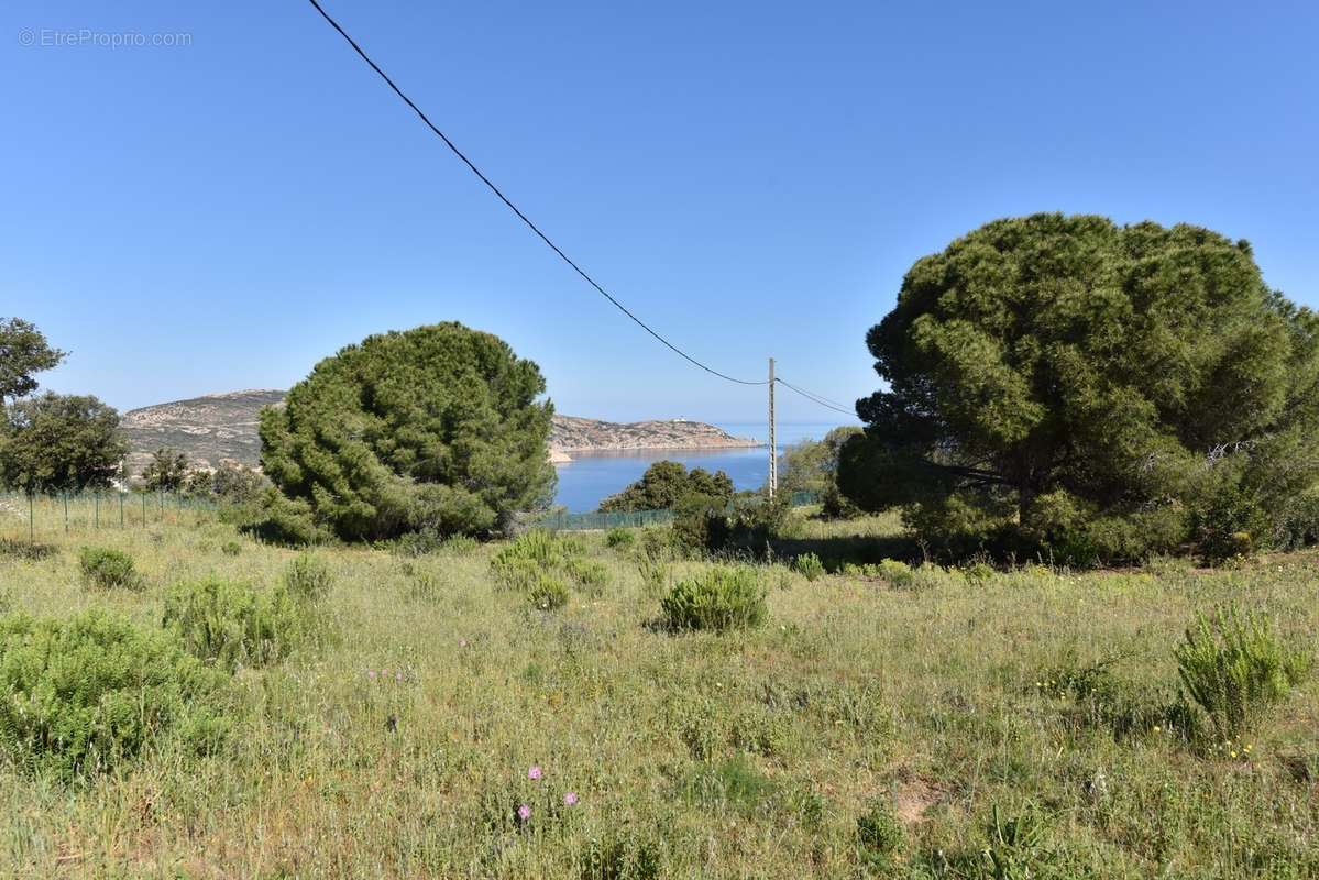 Terrain à CALVI