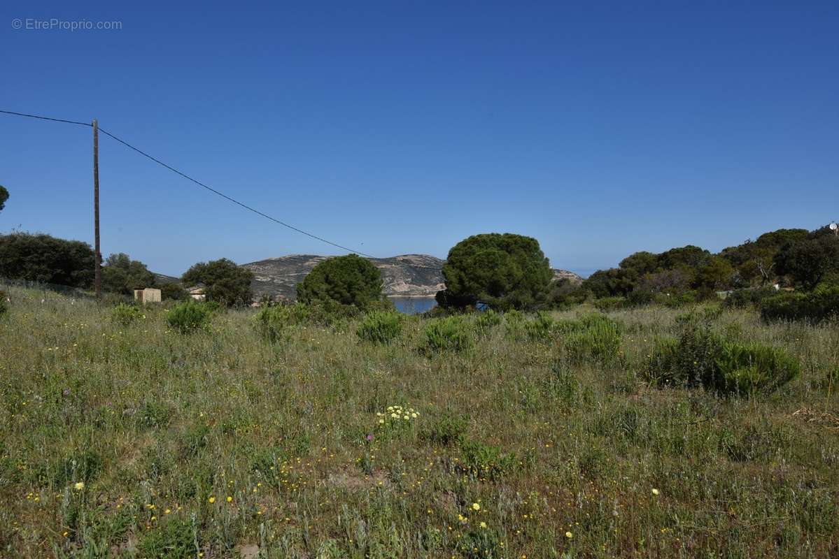 Terrain à CALVI