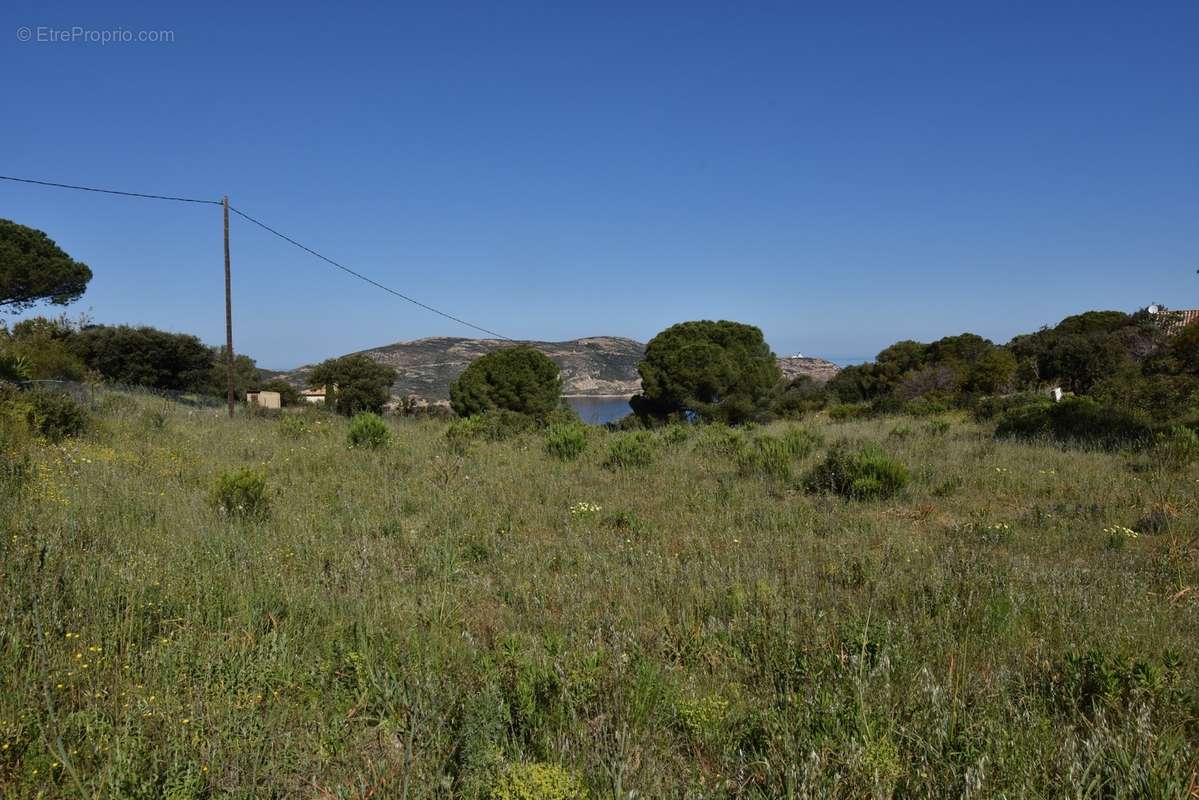 Terrain à CALVI