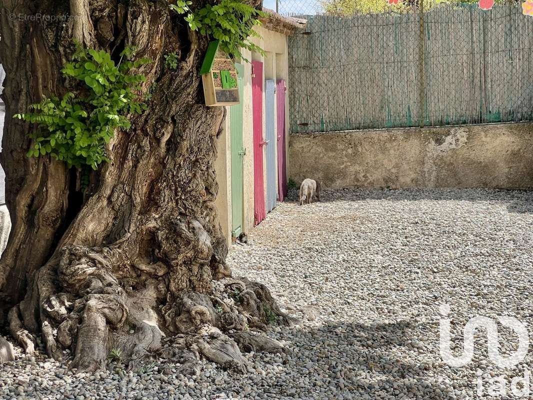 Photo 5 - Maison à BEAUMES-DE-VENISE