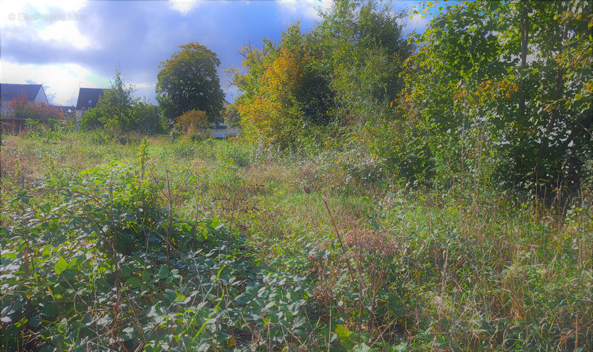 Terrain à SAMOREAU