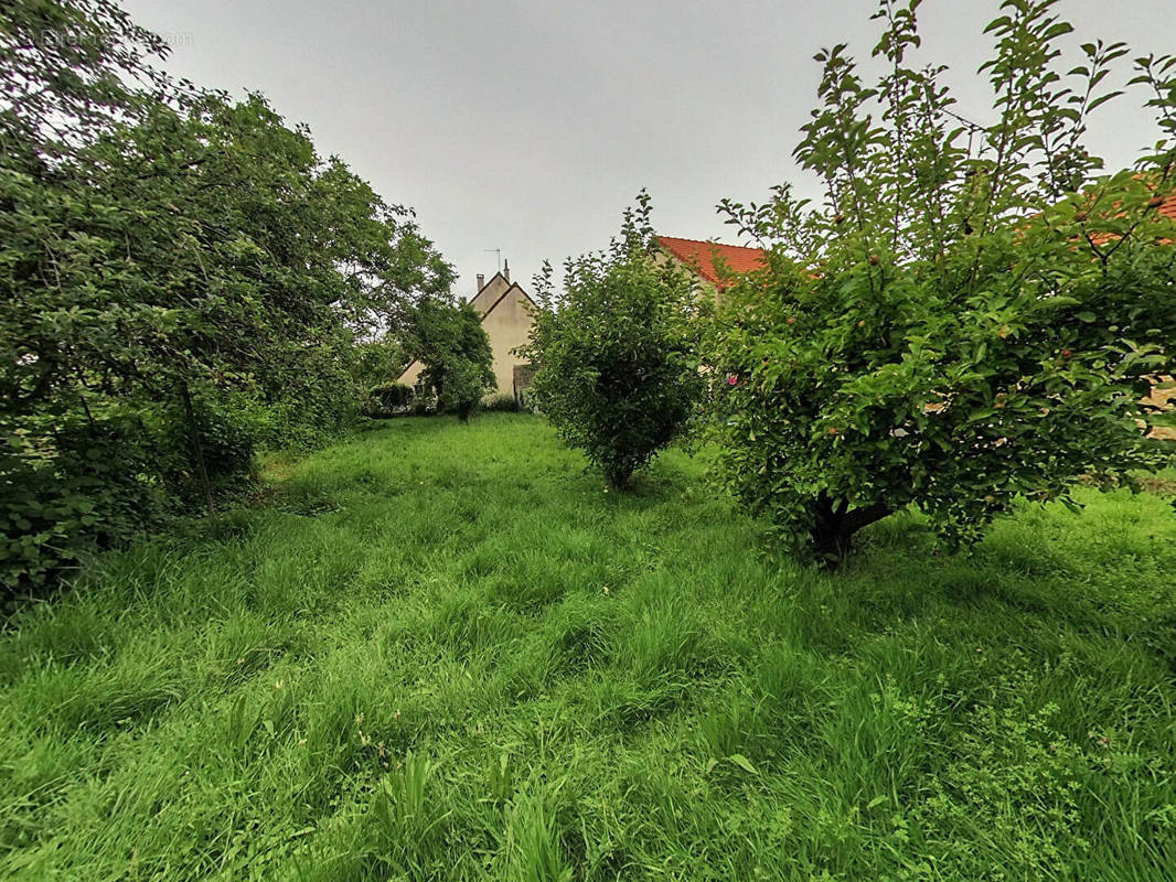 Terrain à SAINT-THIBAULT-DES-VIGNES