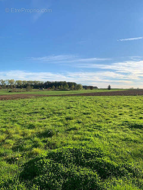 Terrain à SOUDAN