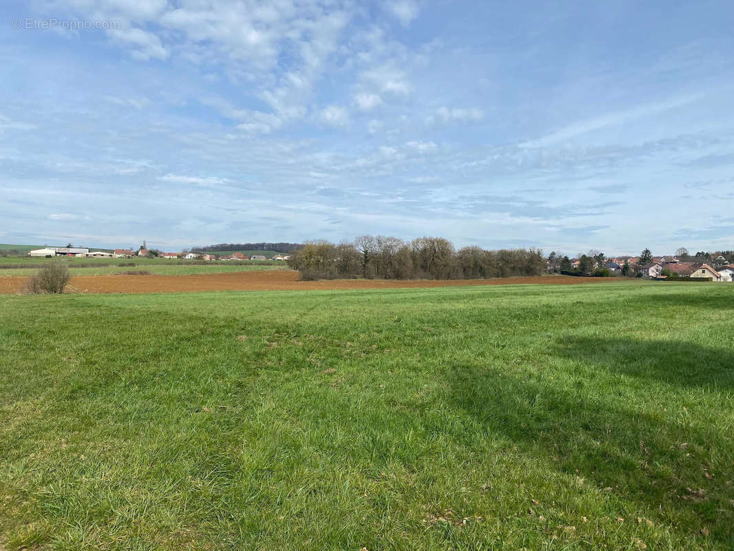 Terrain à BEAUVOIR-SUR-NIORT