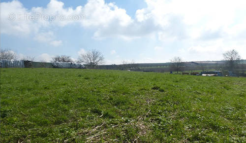 Terrain à SAINTE-EANNE