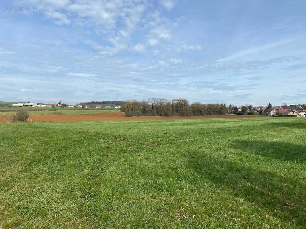 Terrain à BEAUVOIR-SUR-NIORT