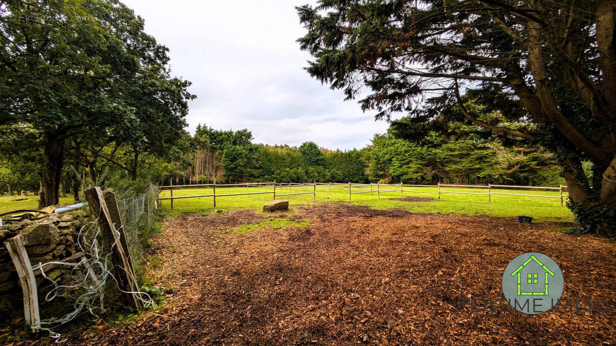 extérieur prairie chevaux - Maison à TREDREZ-LOCQUEMEAU