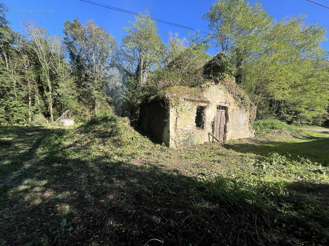 Terrain à SAINT-SELVE