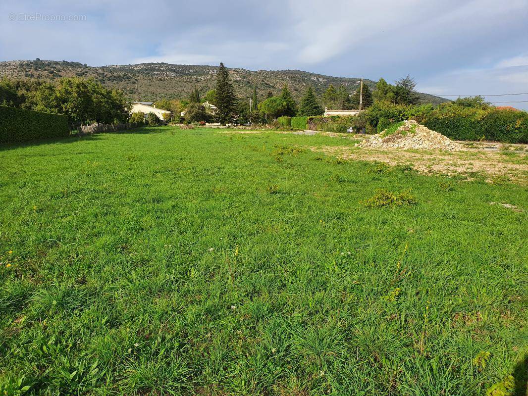 Terrain à SAINT-REMEZE