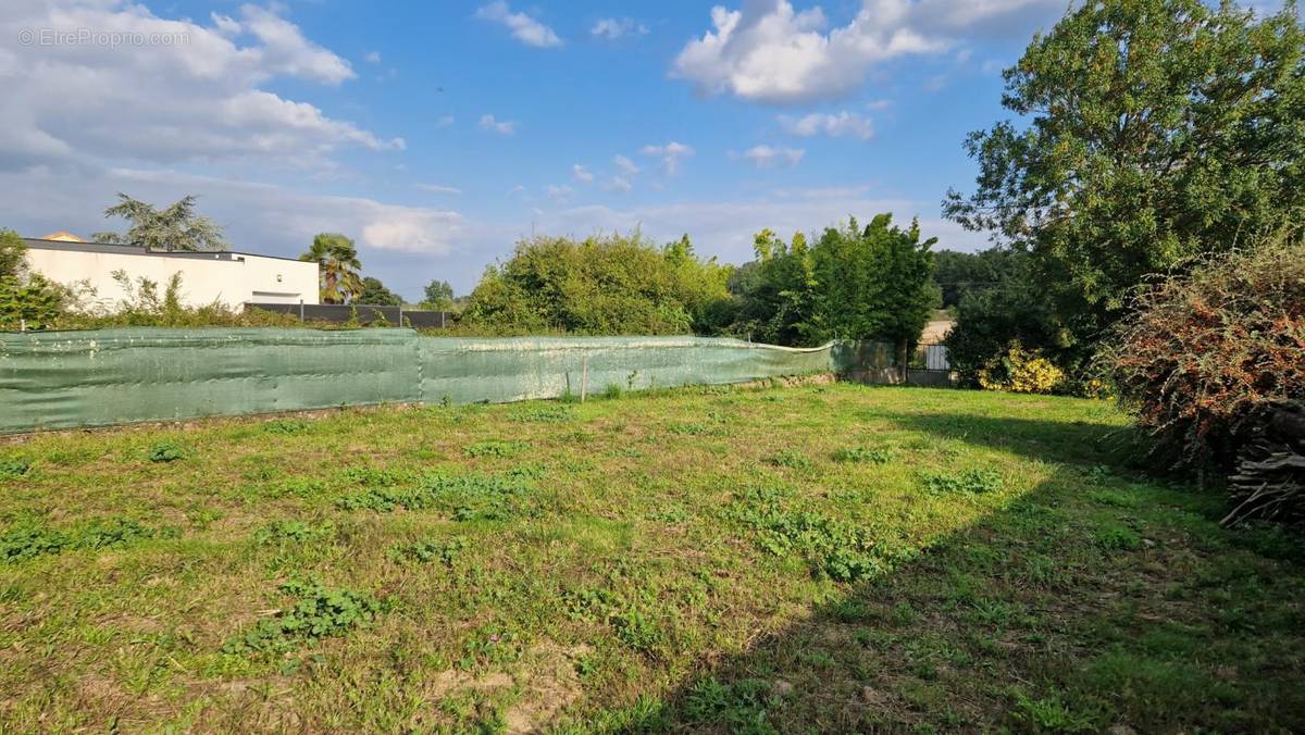 Terrain à SAINT-JULIEN-DE-CONCELLES