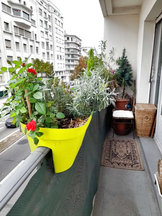 Appartement à LYON-6E