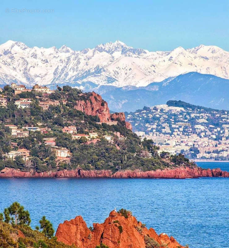 Commerce à ANTIBES