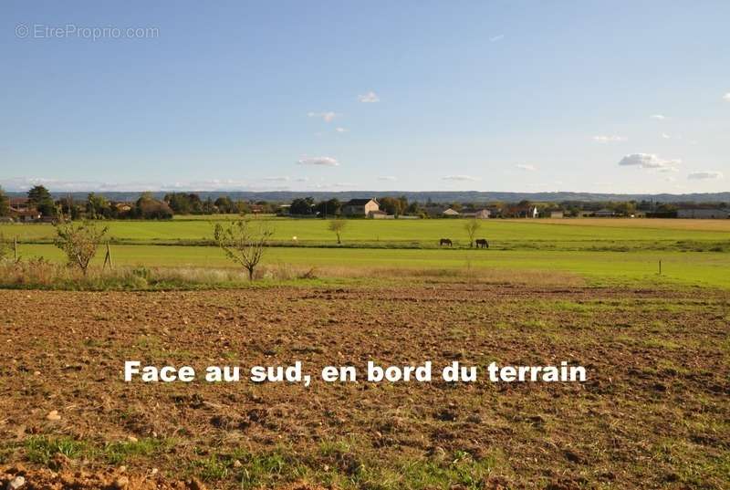 Terrain à PACT