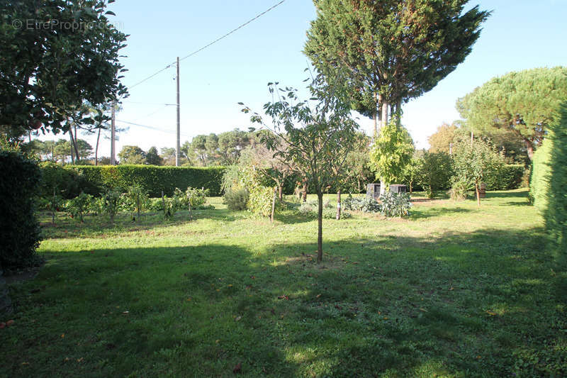 Maison à CASTELJALOUX