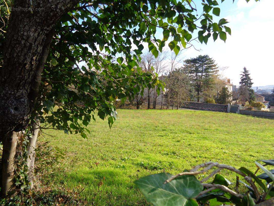 Terrain à ESPALY-SAINT-MARCEL