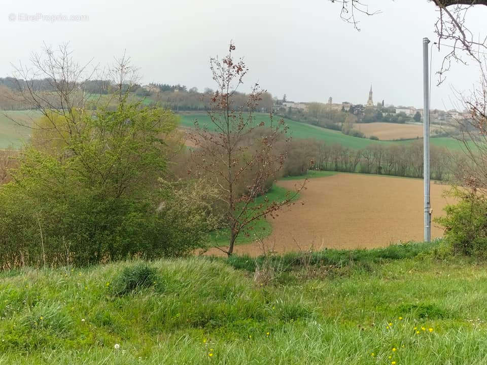 Terrain à SAINT-CLAR