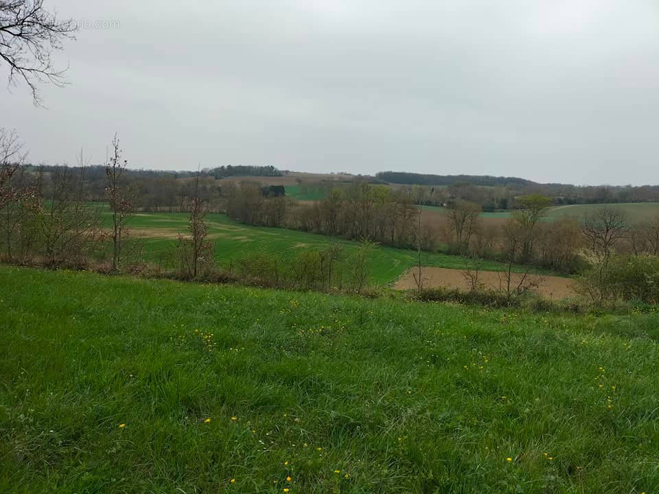 Terrain à SAINT-CLAR