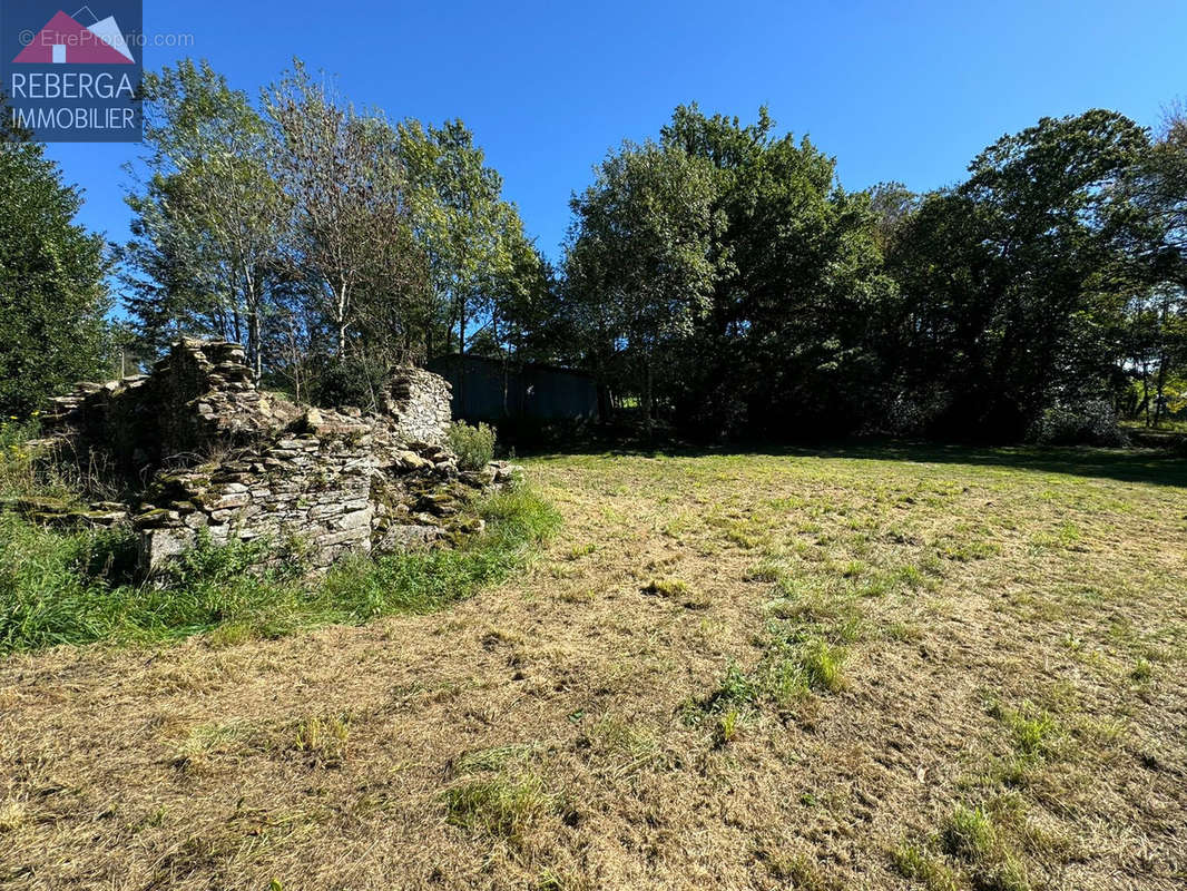 Maison à SAINT-AMANS-VALTORET