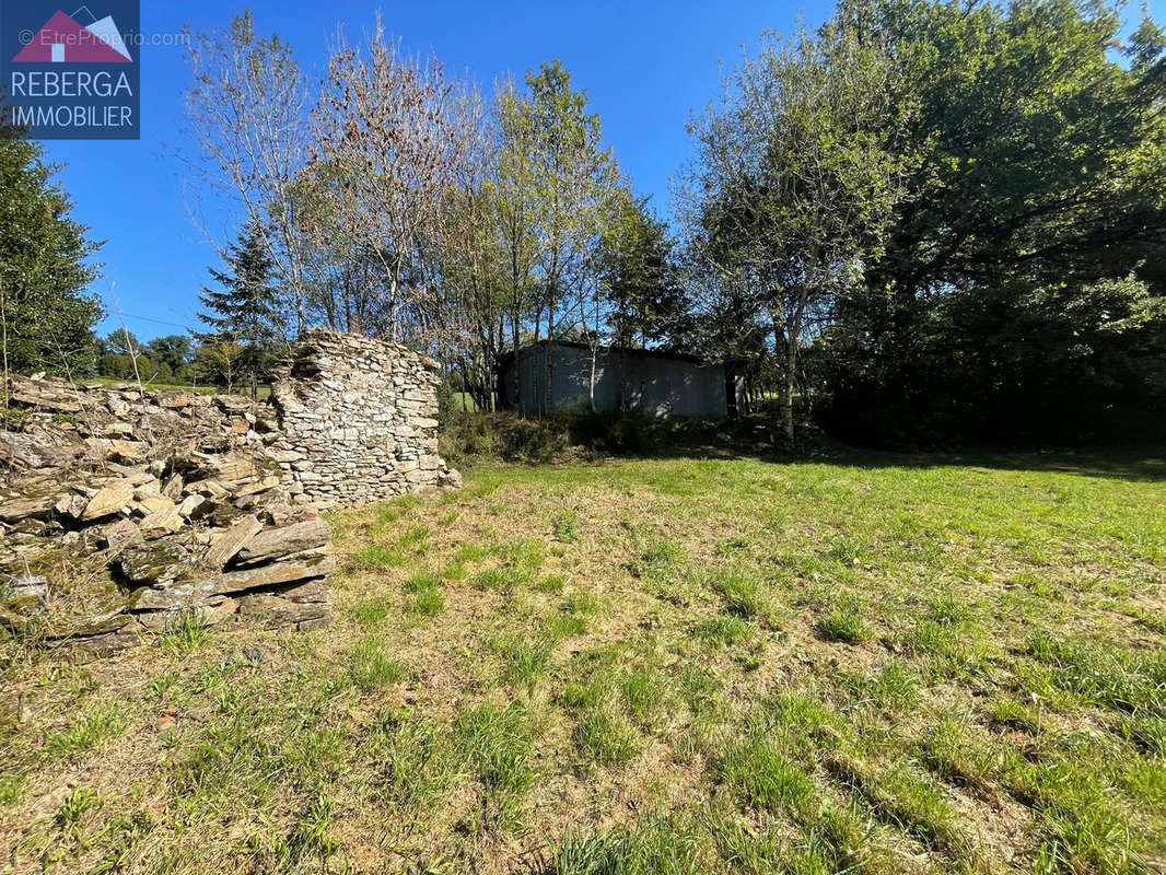 Maison à SAINT-AMANS-VALTORET