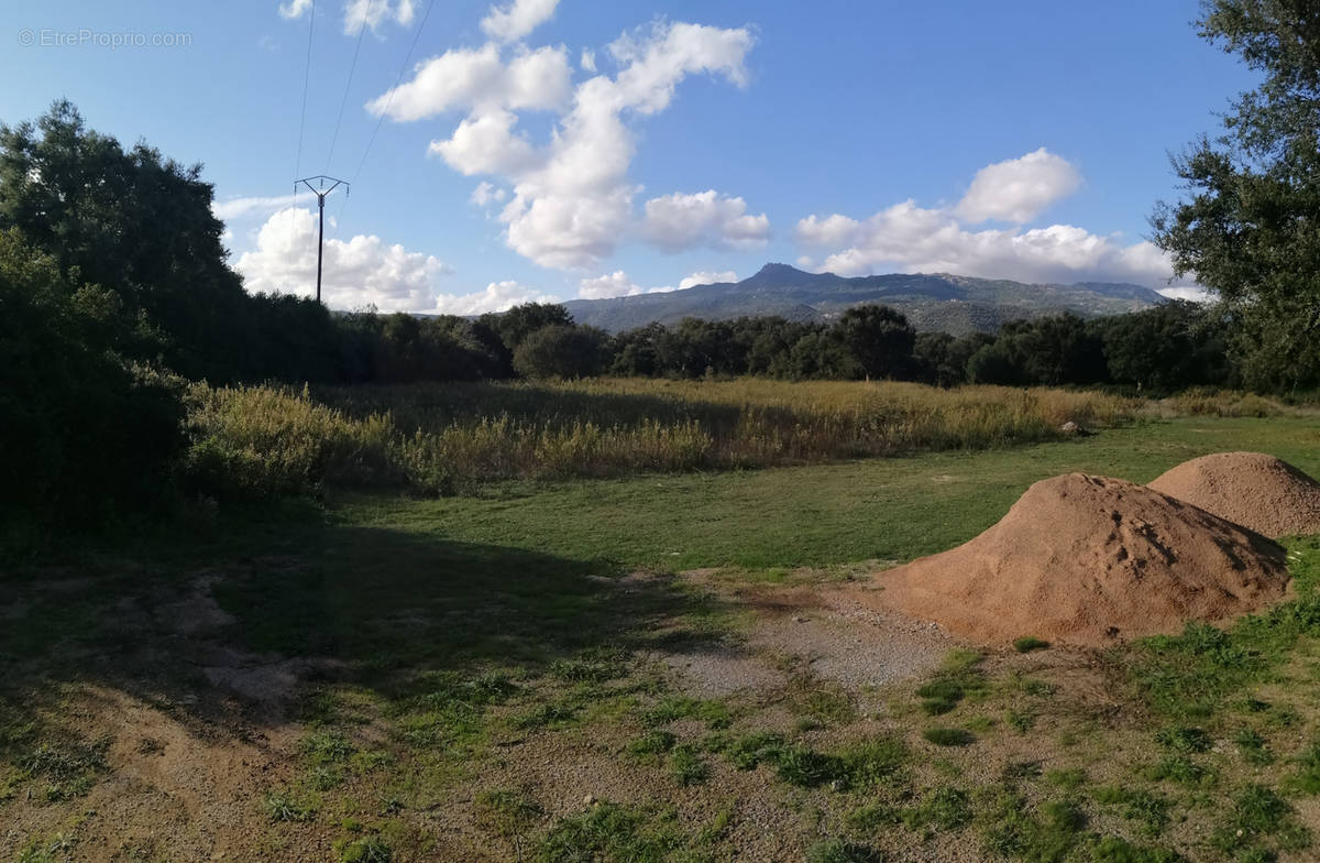 Terrain à FIGARI