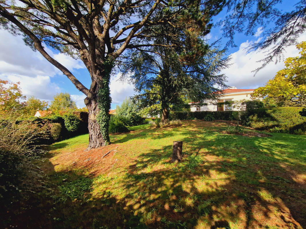 Maison à LE LOROUX-BOTTEREAU