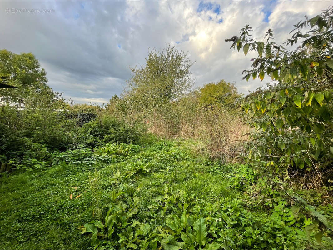 Terrain à SAINT-VAAST-LES-MELLO