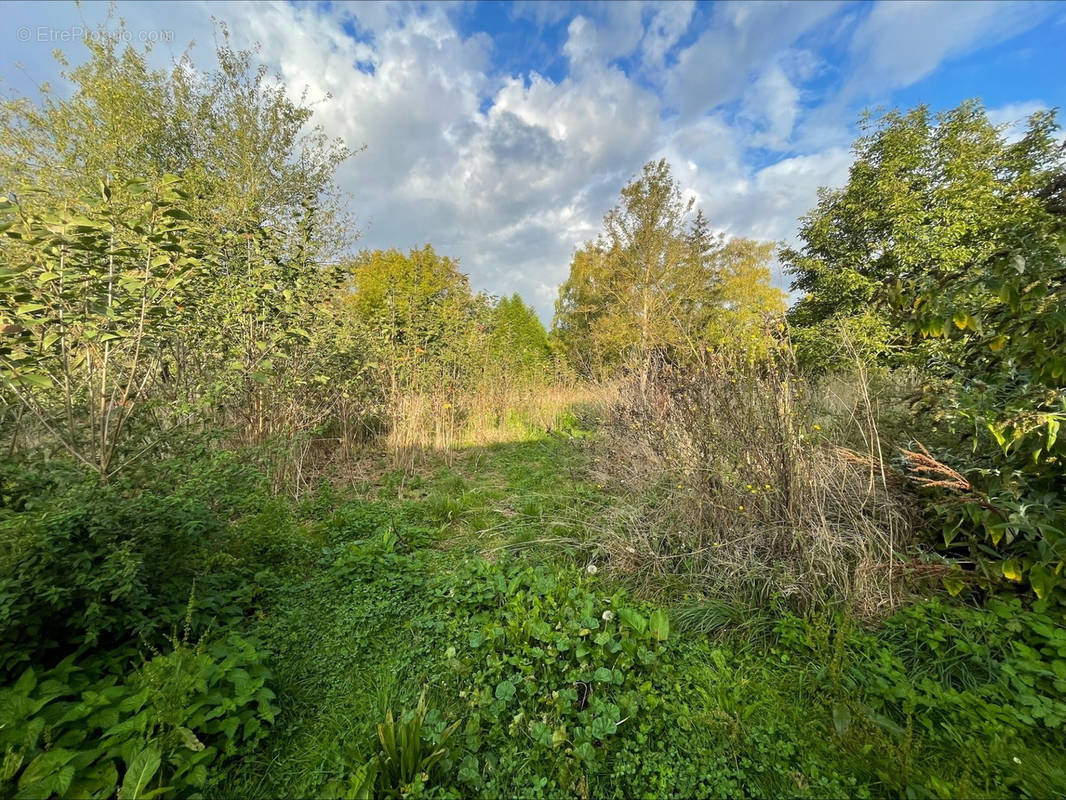 Terrain à SAINT-VAAST-LES-MELLO