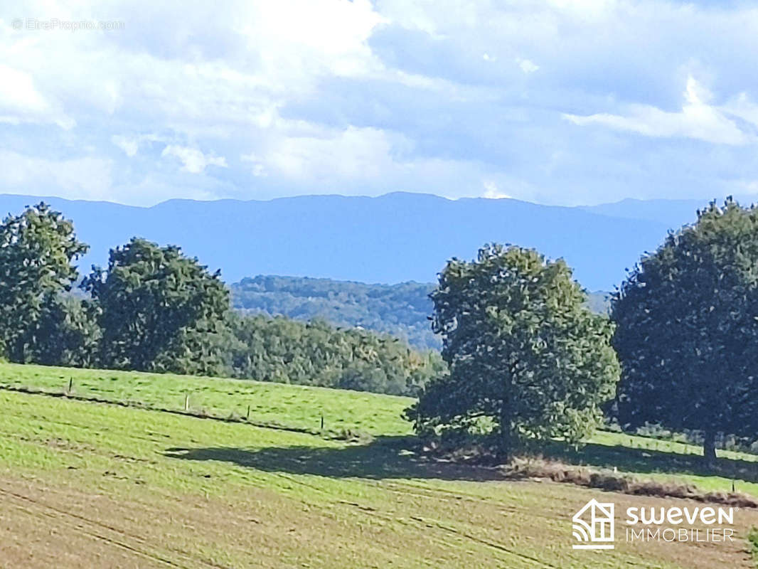 vue Pyrénées - Maison à AURIGNAC