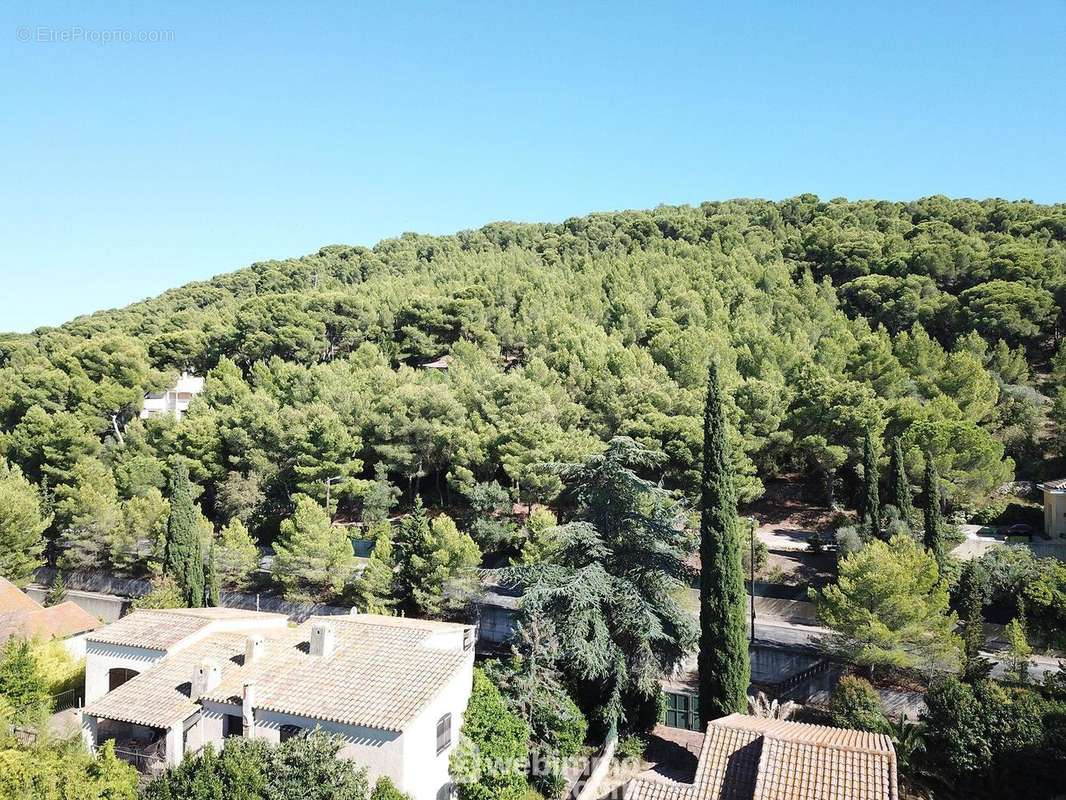 Vue sur la forêt du mont St clair - Appartement à SETE