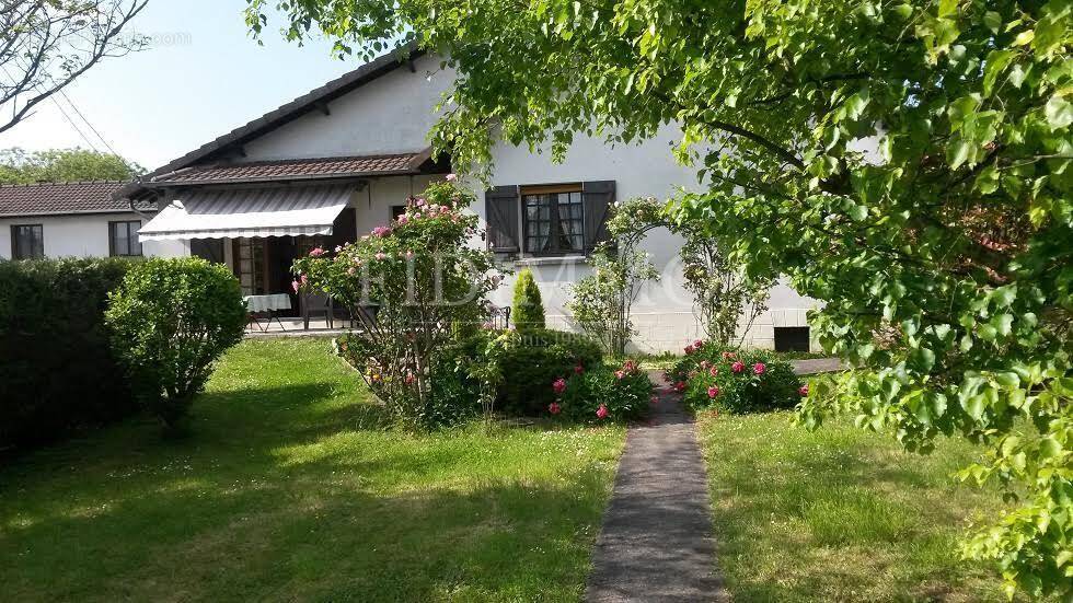 Maison à CHENNEVIERES-SUR-MARNE