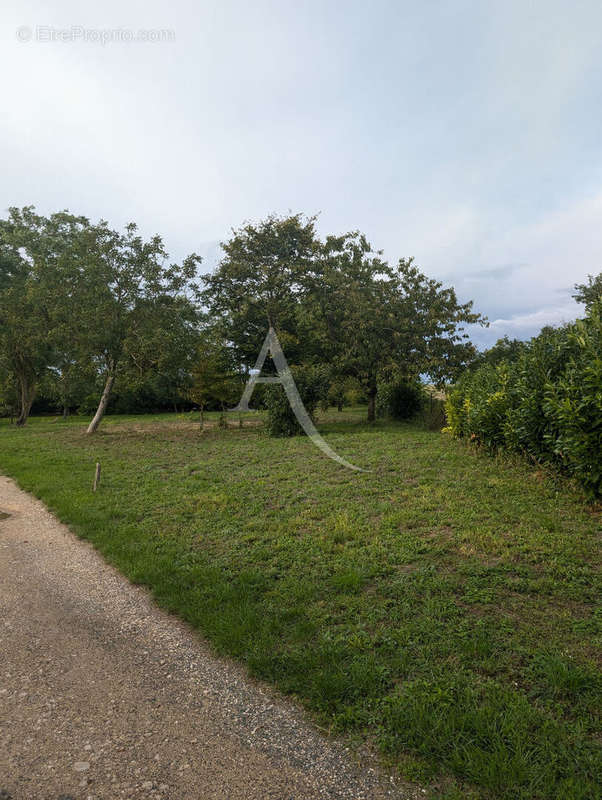 Terrain à LA CHAPELLE-SAINT-MARTIN-EN-PLAINE