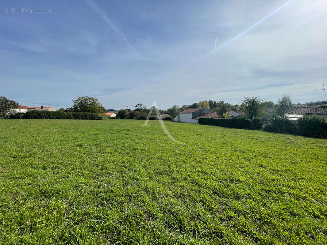 Terrain à SAINT-MICHEL-LE-CLOUCQ