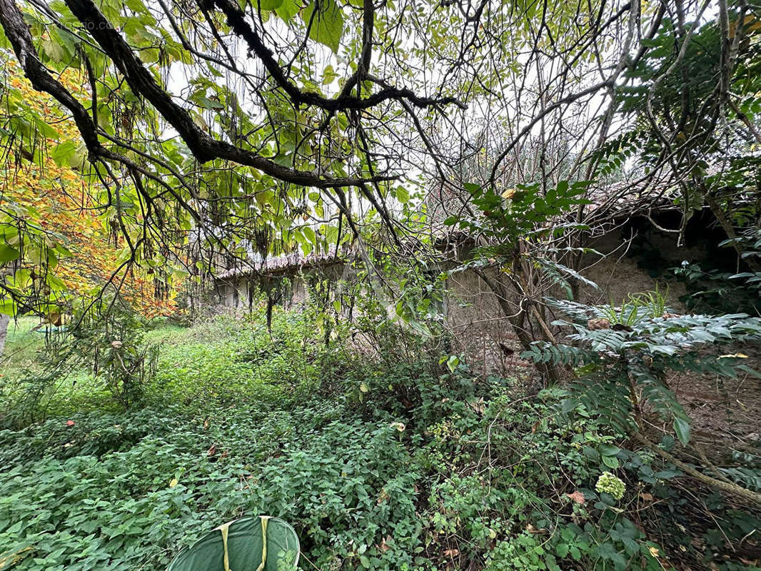 Maison à BUZET-SUR-TARN