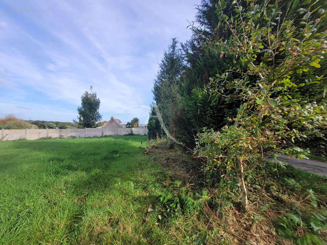 Terrain à SAINT-JACUT-LES-PINS