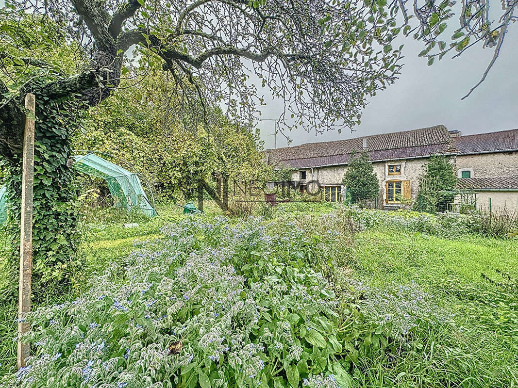 Maison à MAXEY-SUR-MEUSE