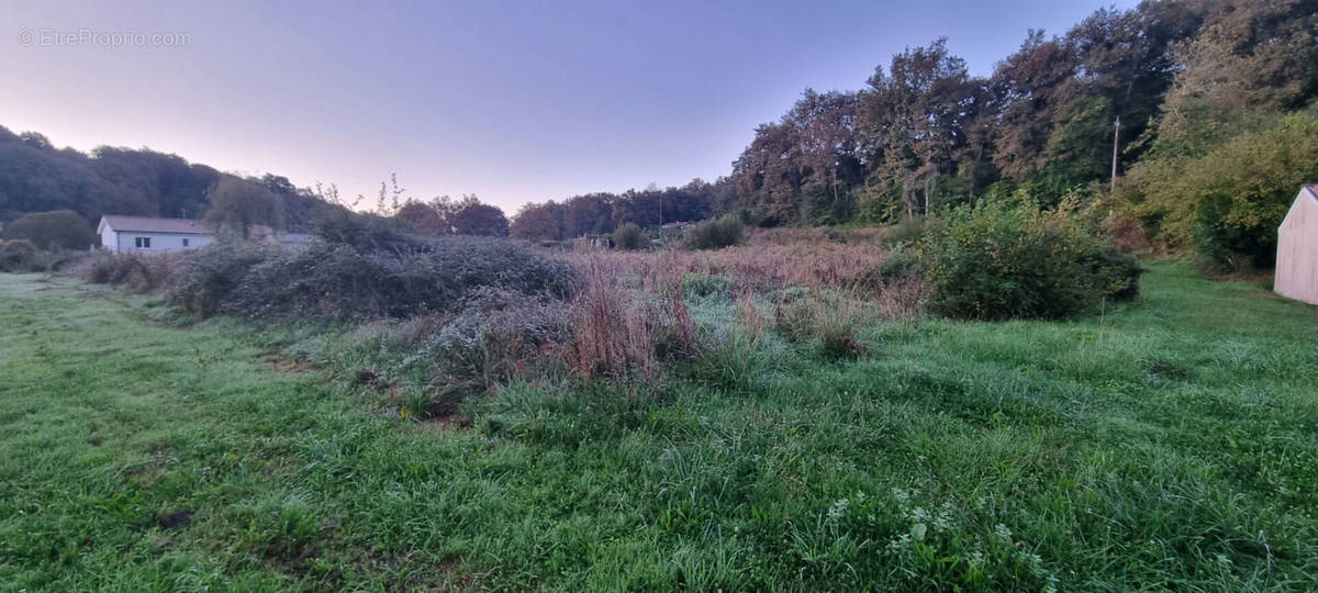 Terrain à MONT-DE-MARSAN