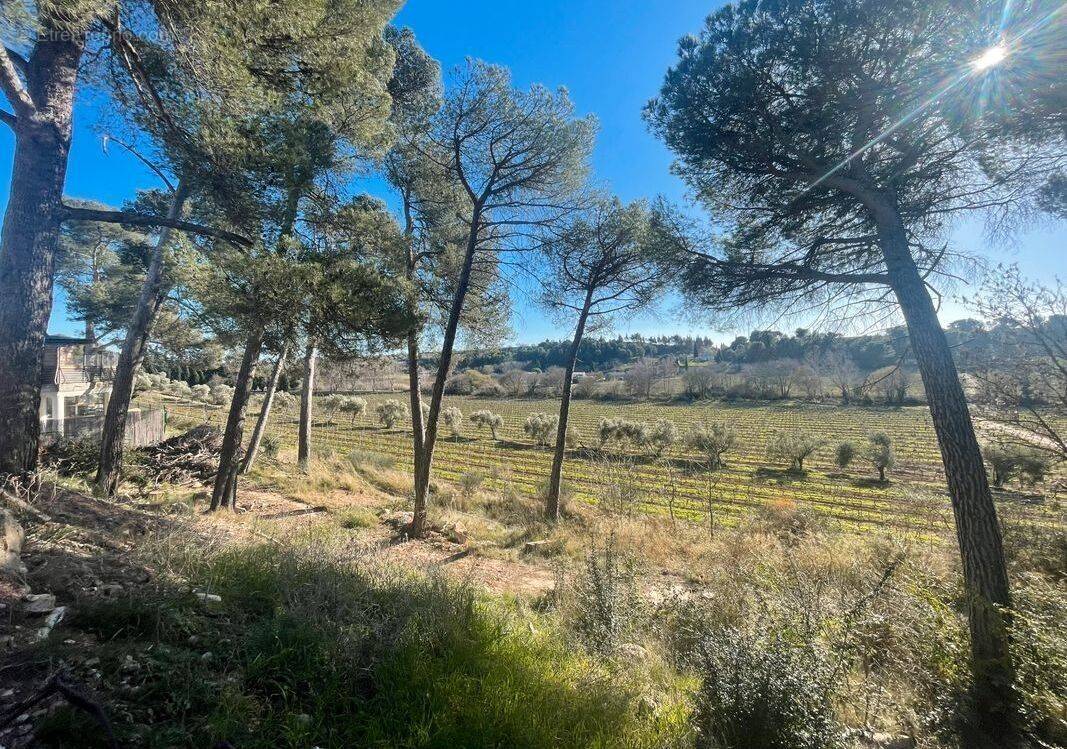 Terrain à RIEUX-MINERVOIS