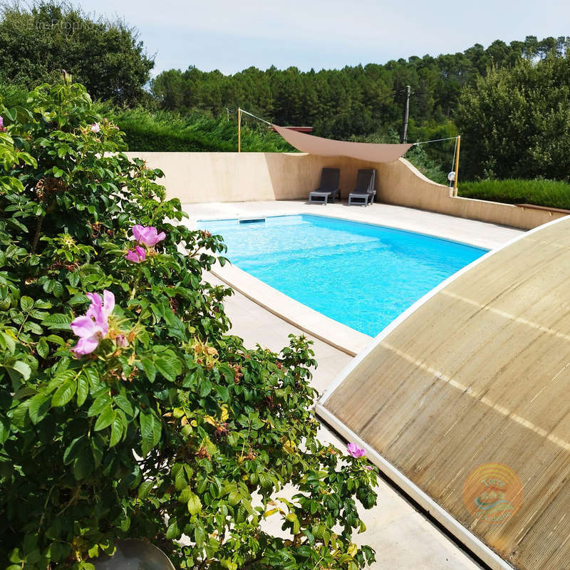 Piscine - Maison à MERCUER